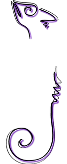ZED-cam-INTERO-sx-WEB.png